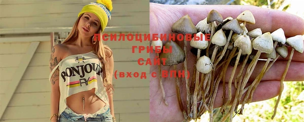 бошки Киренск